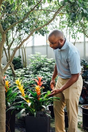 The Plant Peddler